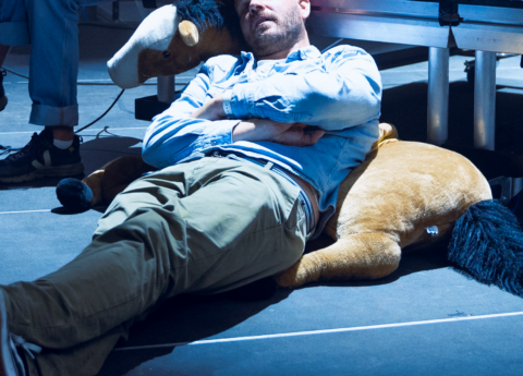 HORIZONTAL FRANCIS
